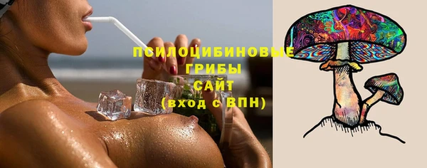 дживик Алексин