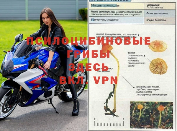 МДПВ Алексеевка