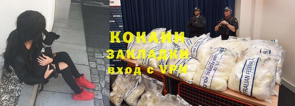 трава Карпинск