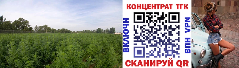 нарко площадка официальный сайт  Николаевск  Дистиллят ТГК THC oil 
