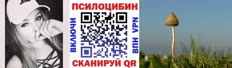как найти наркотики  Николаевск  Галлюциногенные грибы мухоморы 