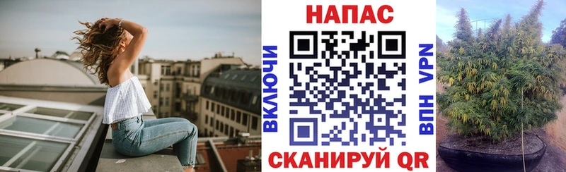 Бошки марихуана ГИДРОПОН  Николаевск 